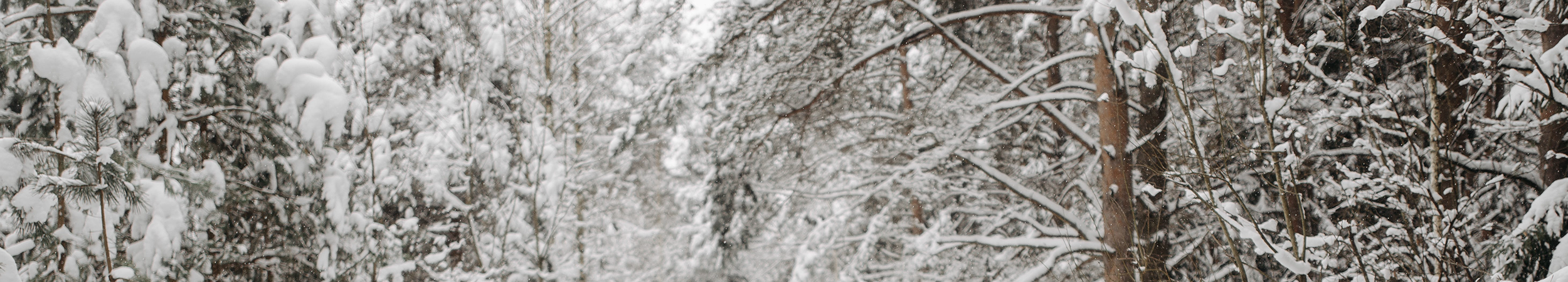 Promozione Invernale 2024