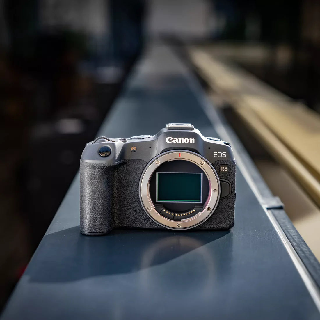 Canon EOS R8 Body