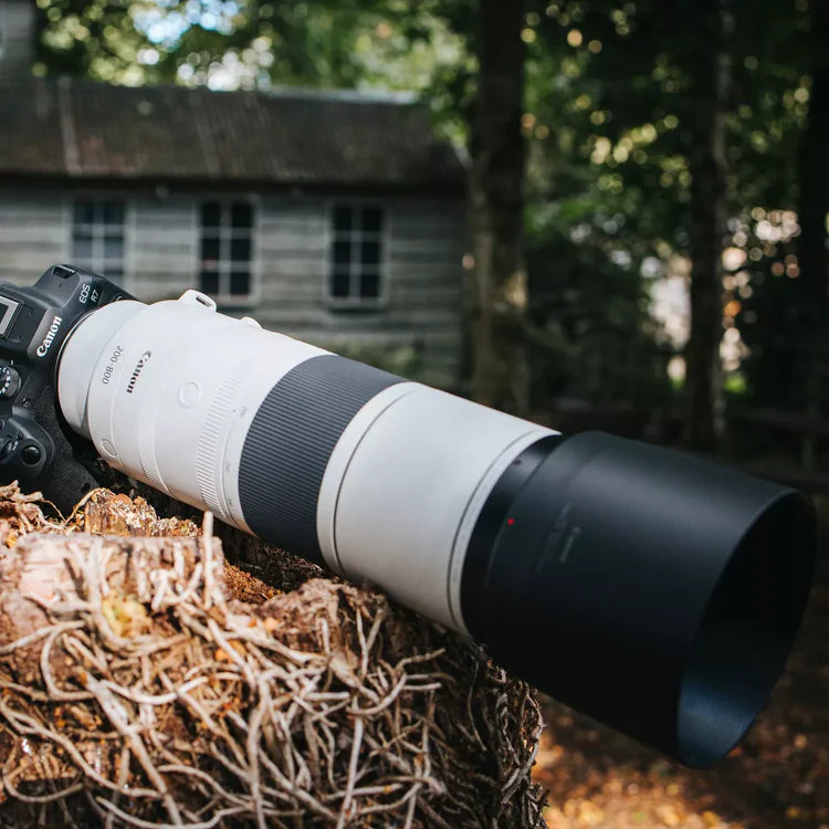 Canon RF 200–800mm F6.3–9 IS USM – super teleobiettivo zoom full frame per fauna e sport
