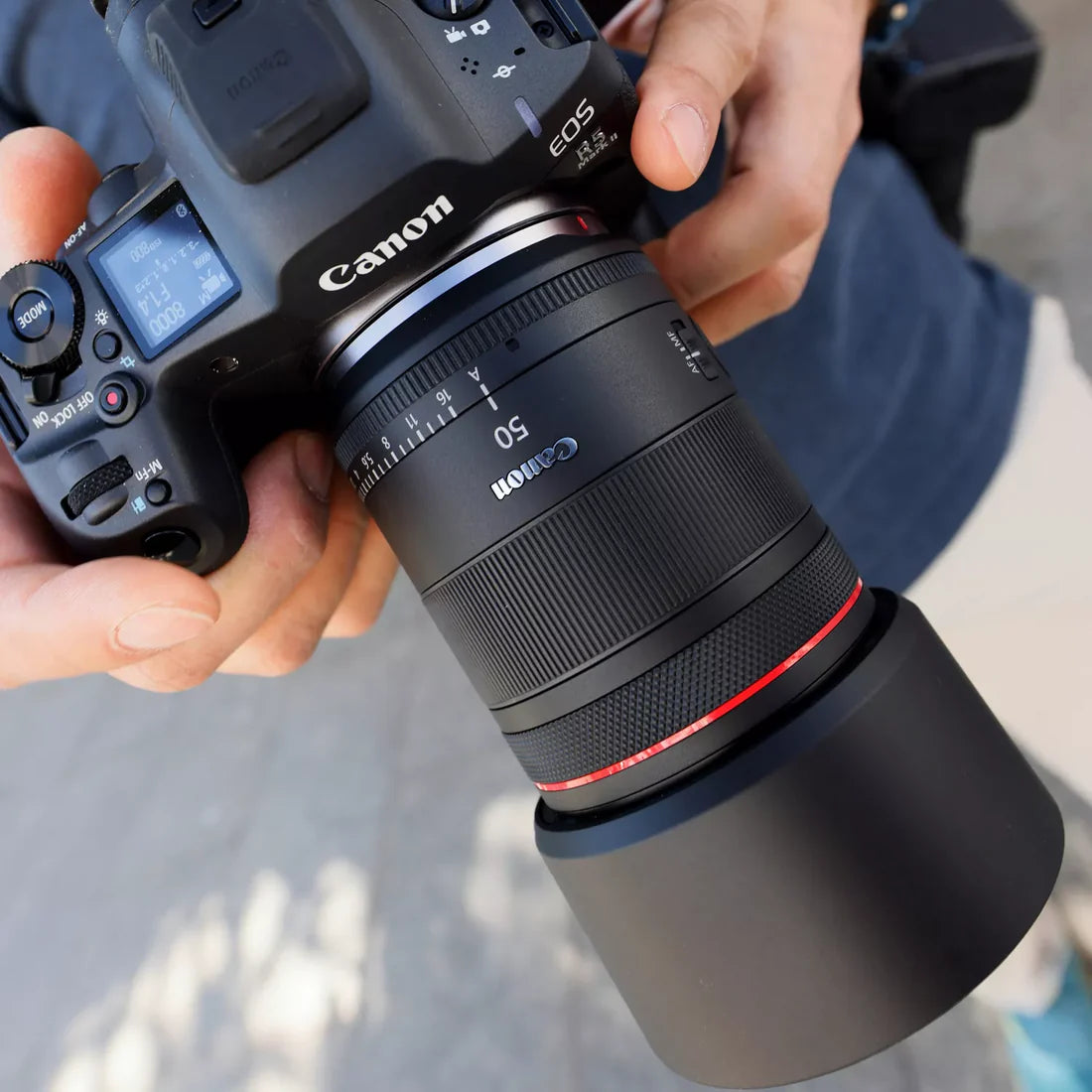 Canon RF 50mm F1.4 L VCM