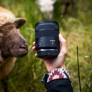 Canon RF 85mm F2 Macro IS STM – teleobiettivo compatto full frame per ritratti e macro 0,5x