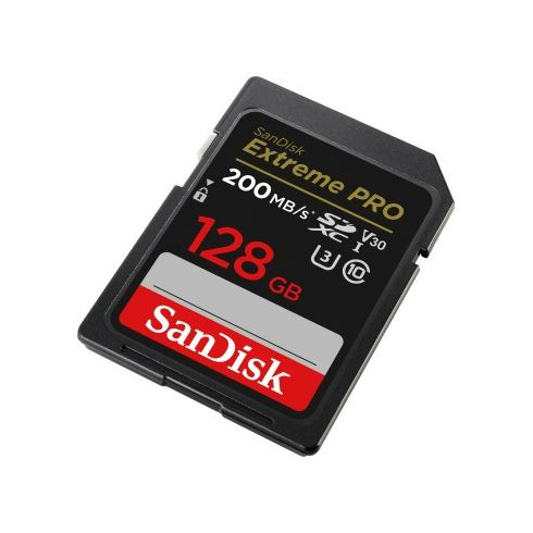 24558411