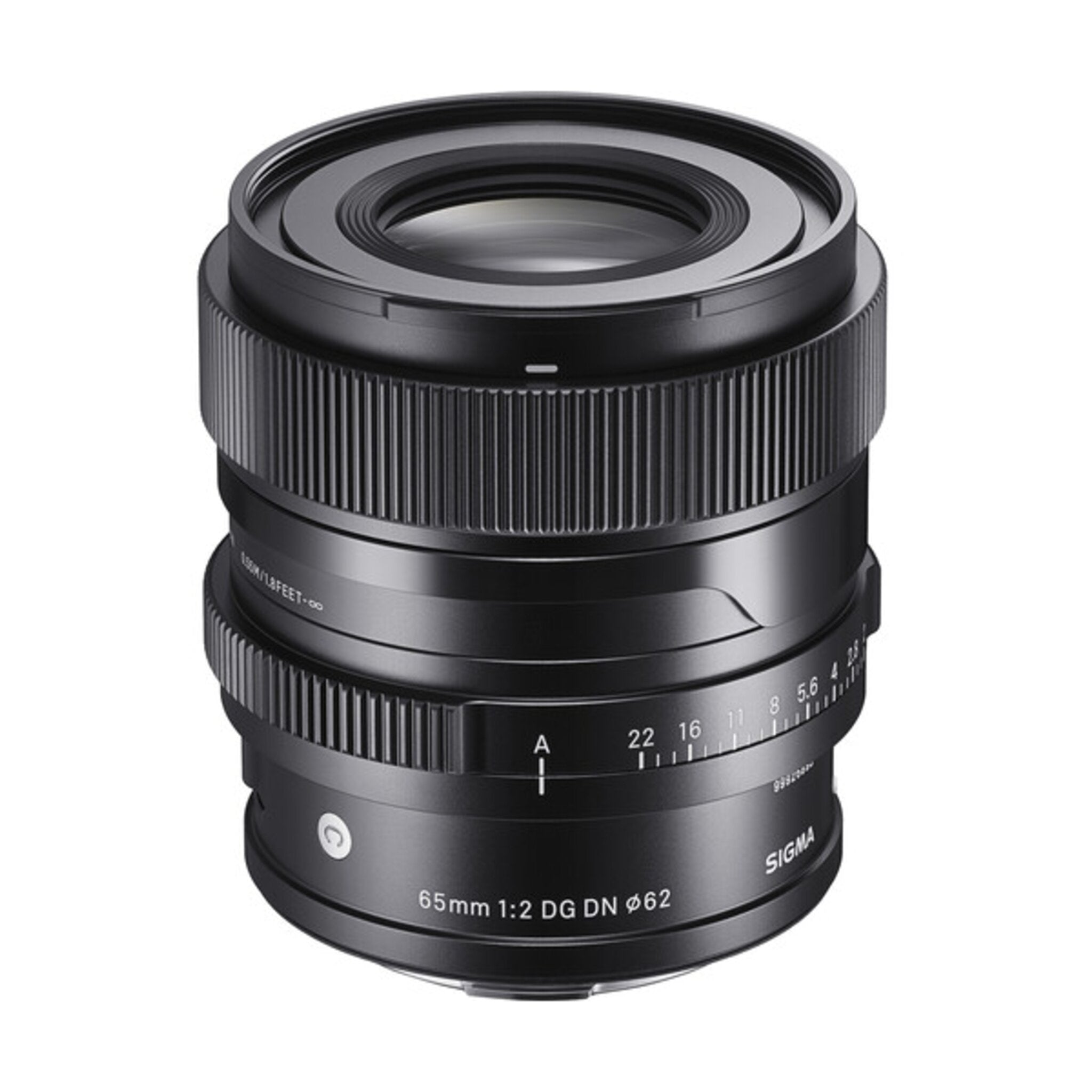 Sigma 65mm f/2 - Obiettivo Mirrorless Sony E-Mount