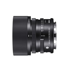 Sigma 45mm f/2.8 - Obiettivo Mirrorless Sony E-Mount