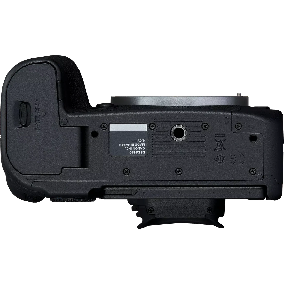 Canon EOS R6 Mark II Body