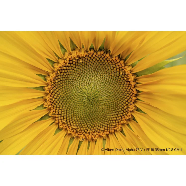 Sony FE 16–35mm F2.8 GM II – obiettivo grandangolare full frame Serie G Master professionale