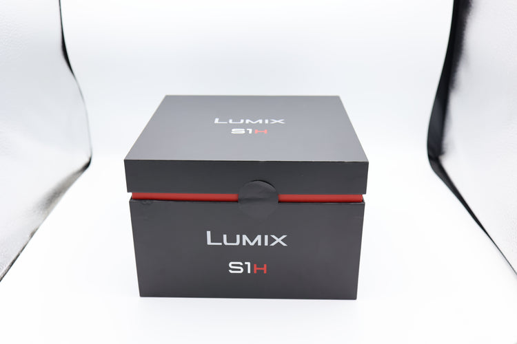 Panasonic Lumix S1H usata