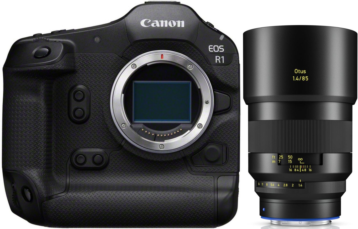 Canon EOS R1 + ZEISS Otus ML 85mm f/1.4 | Obiettivo Ritratto / Standard per Canon EOS R