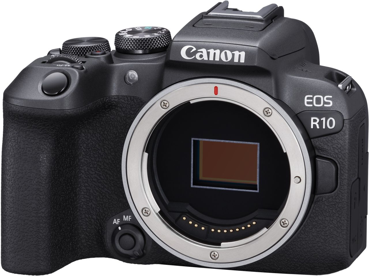 Canon EOS R10 + Tamron 17-70mm f/2.8 Di III-A VC RXD