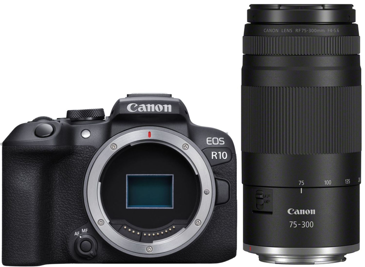 Canon EOS R10 + RF 75-300mm f/4.0-5.6 | Teleobiettivo Zoom per Canon RF
