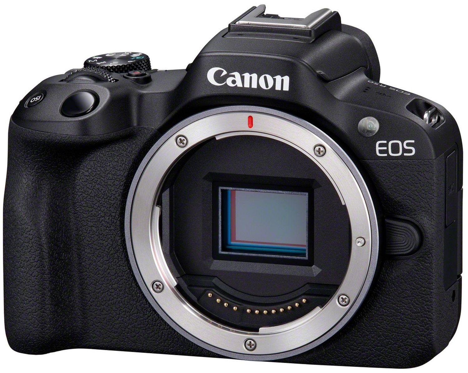 Canon EOS R50 + Tamron 17-70mm f/2.8 Di III-A VC RXD