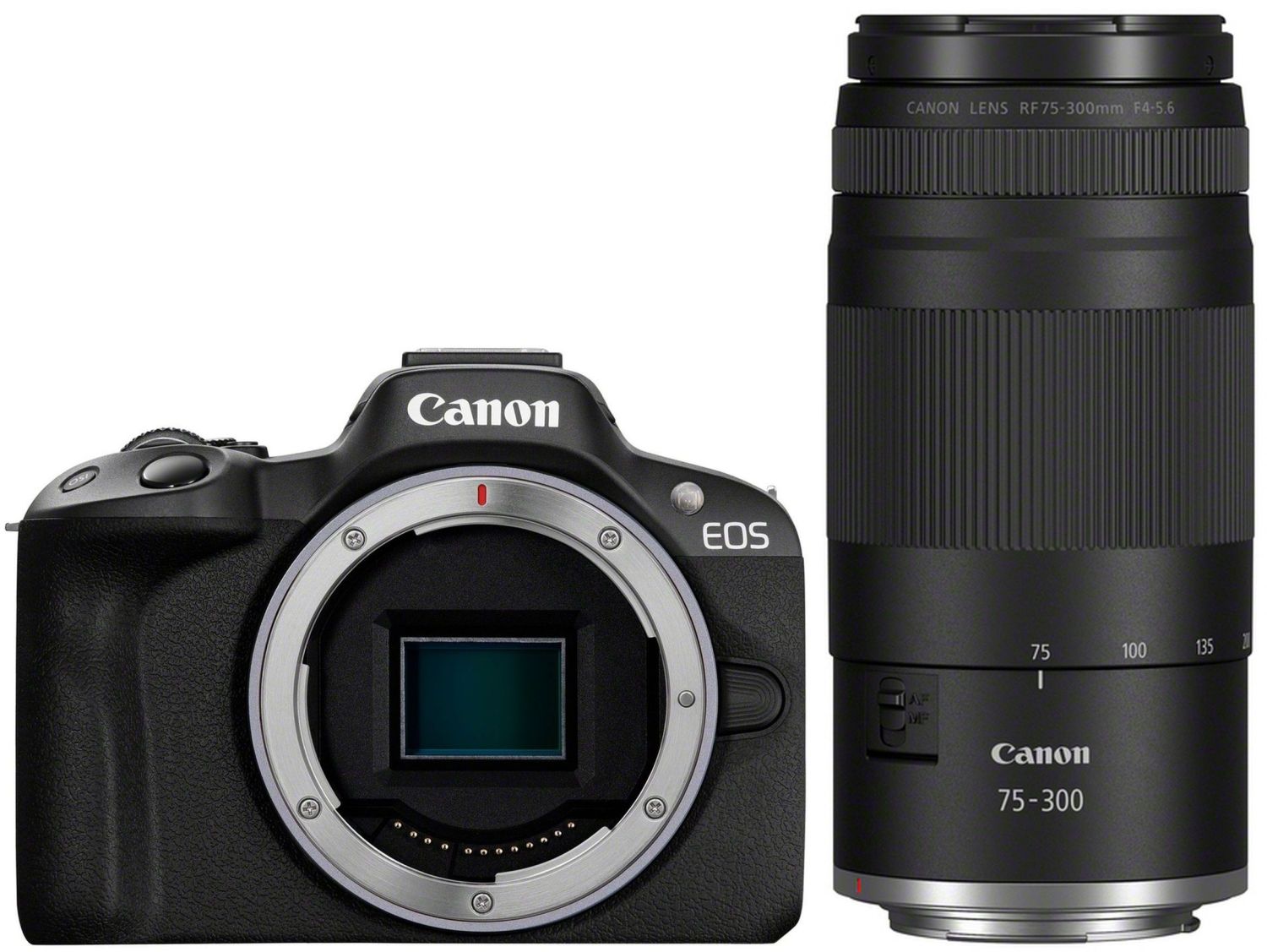 Canon EOS R50 black + RF 75-300mm f/4.0-5.6 | Teleobiettivo Zoom per Canon RF