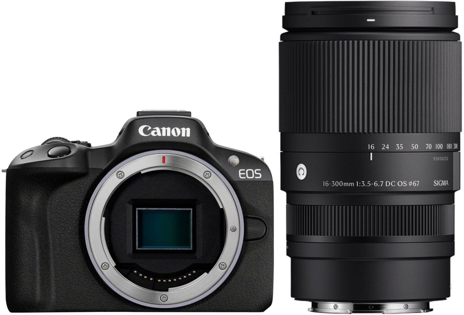 Canon EOS R50 + Sigma 16-300mm f/3.5-6.7 DC OS(C) | Teleobiettivo Zoom per Canon EOS R