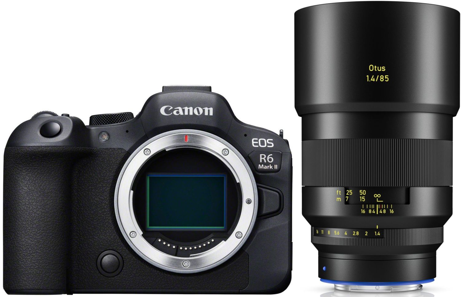 Canon EOS R6 II + ZEISS Otus ML 85mm f/1.4 | Obiettivo Ritratto / Standard per Canon EOS R