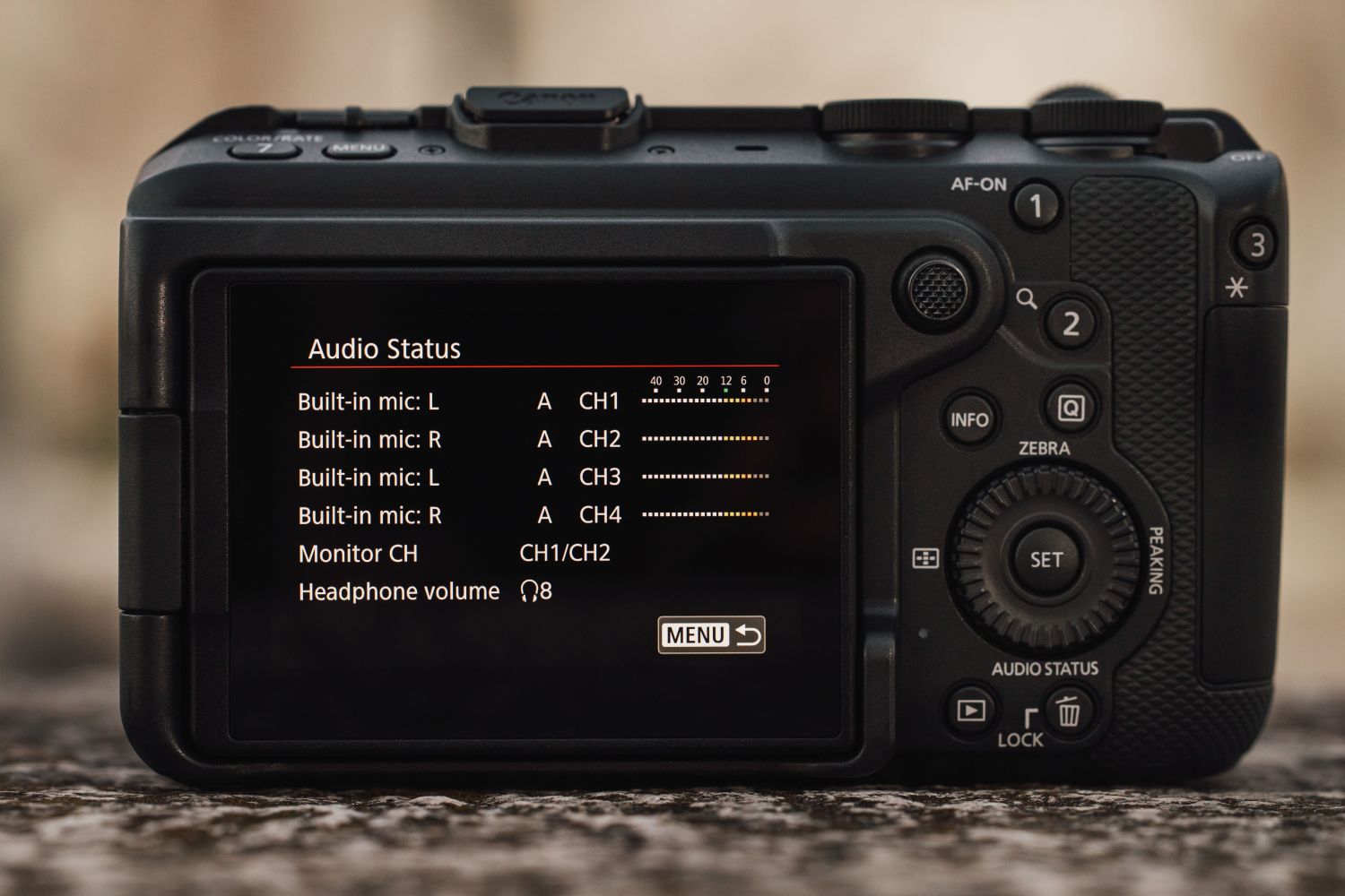 Canon EOS R6 V + EF-EOS R bayonet adapter