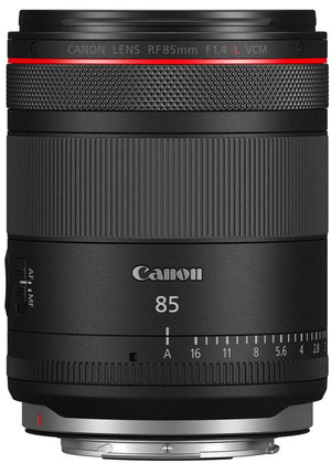 Canon EOS R6 V + RF 85mm f1.4 L VCM