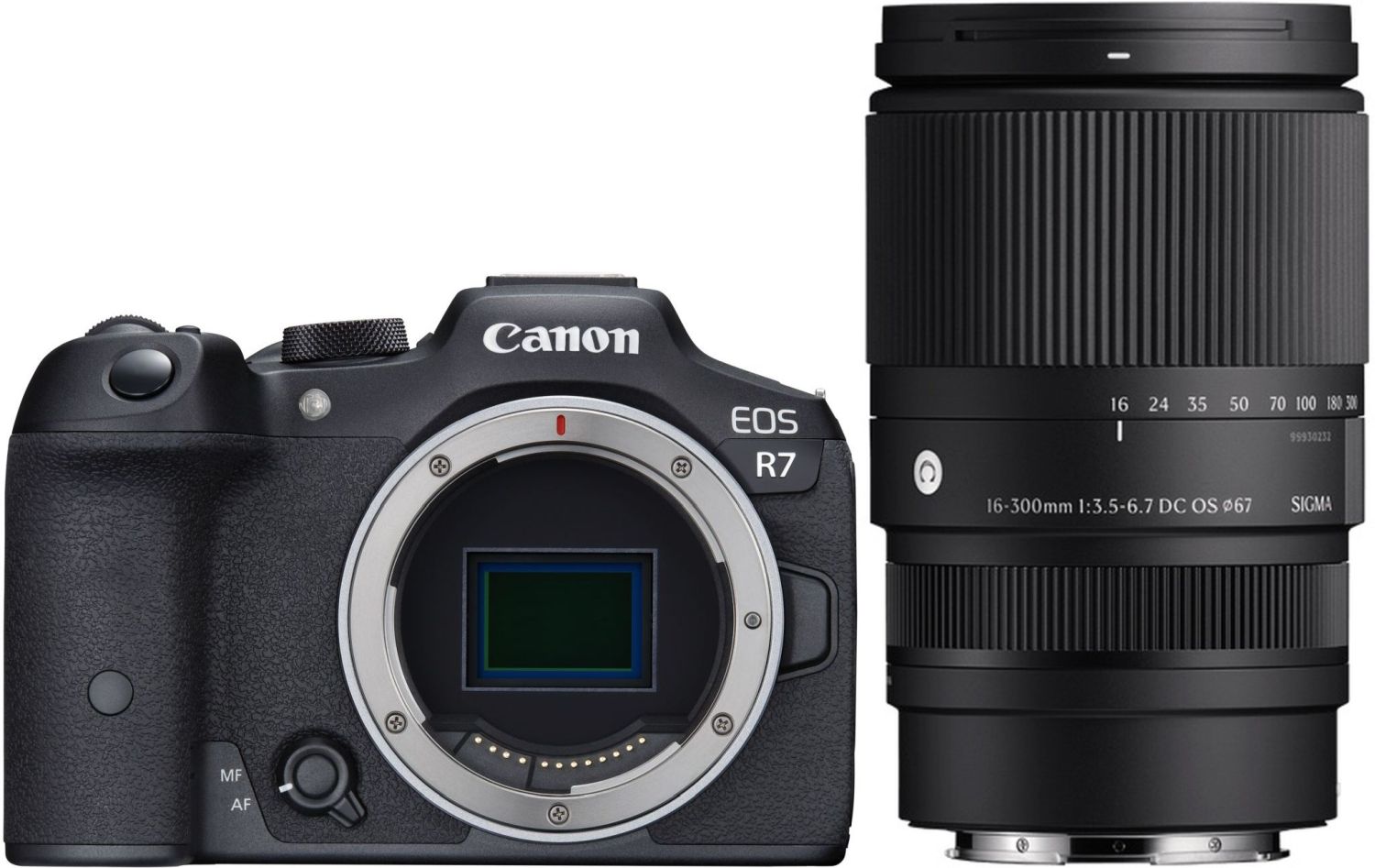 Canon EOS R7 + Sigma 16-300mm f/3.5-6.7 DC OS (C) | Teleobiettivo Zoom per Canon EOS R