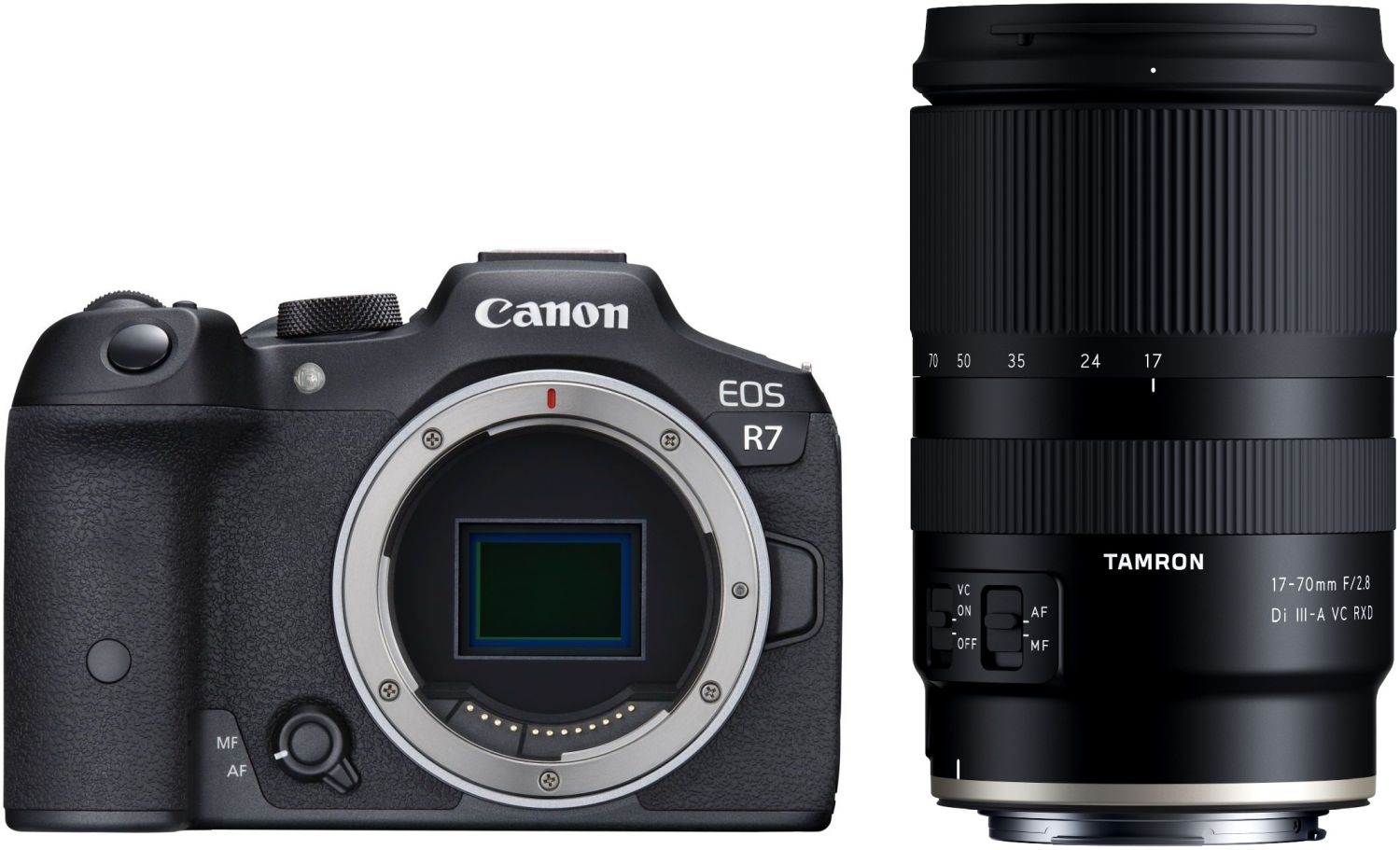 Canon EOS R7 + Tamron 17-70mm f/2.8 Di III-A VC RXD