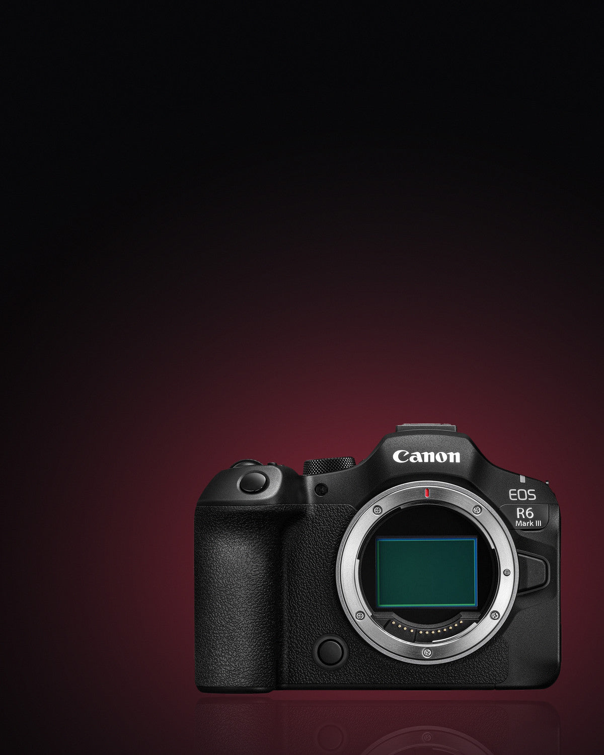 Canon EOS R6 Mark III