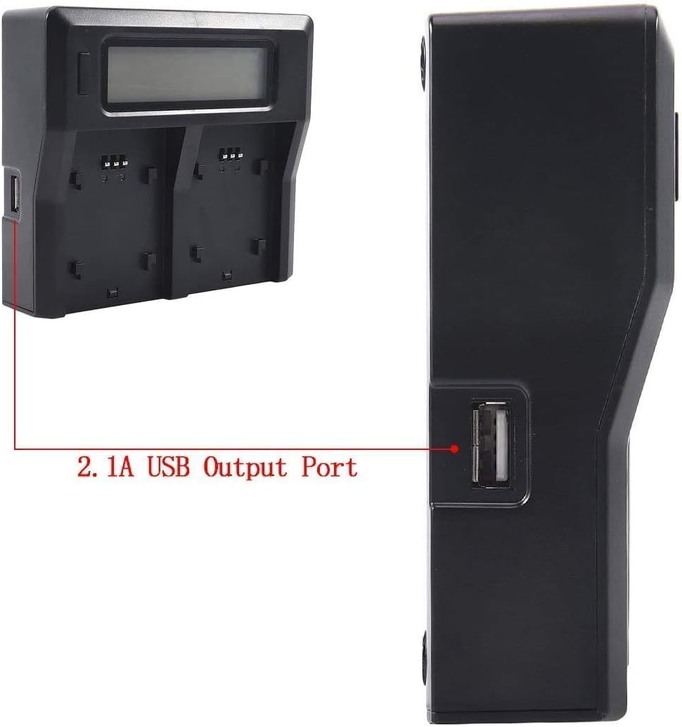 Take LCD Caricabatterie Doppio con Display per Batterie Sony FZ100