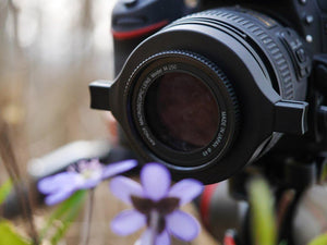 Raynox Dcr 250 Aggiuntivo Macro Made in Japan Foto Intraorali Insetti Dentisti Ecc