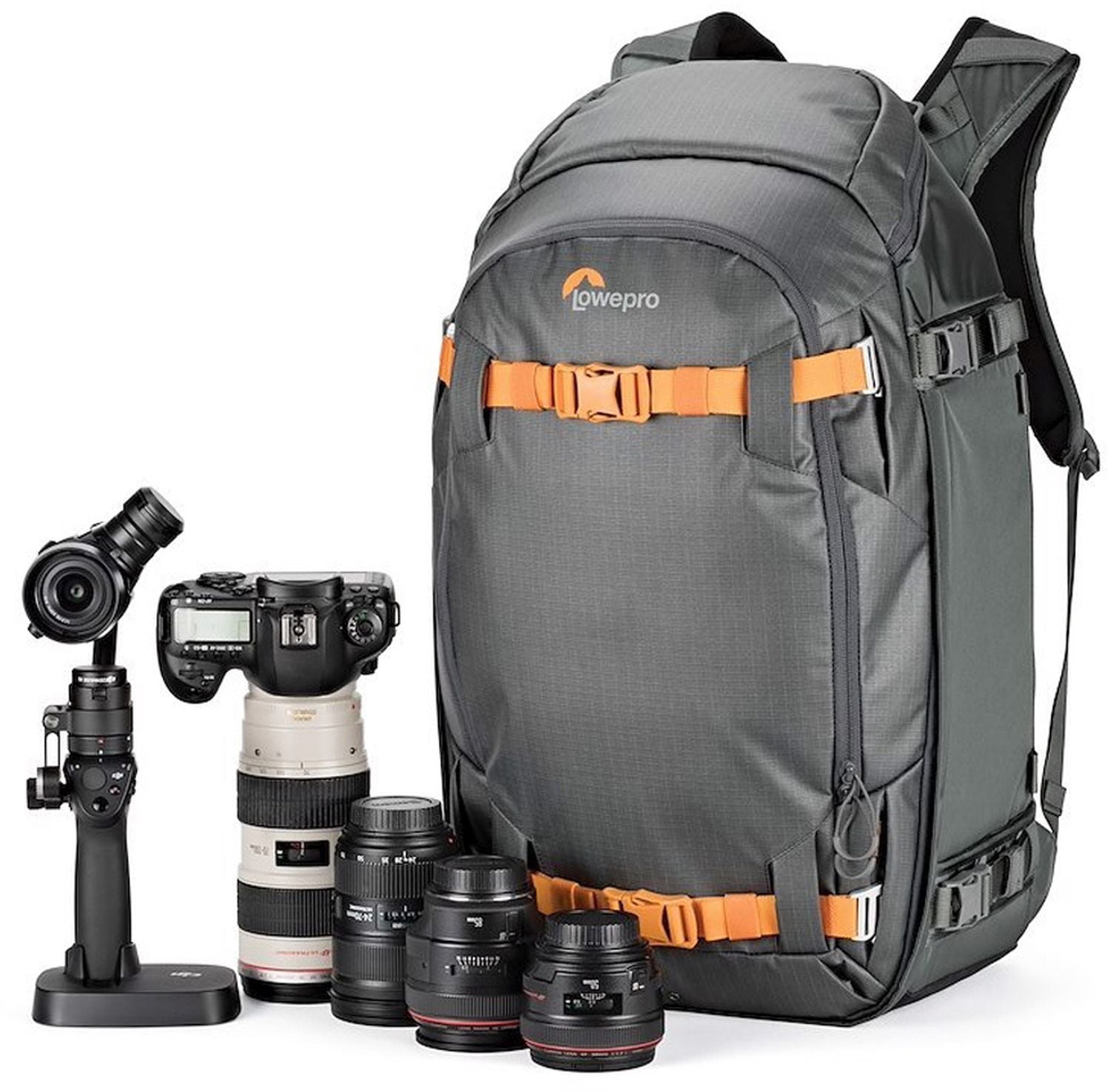 Lowepro Whistler 450 AW II gray (45526149)