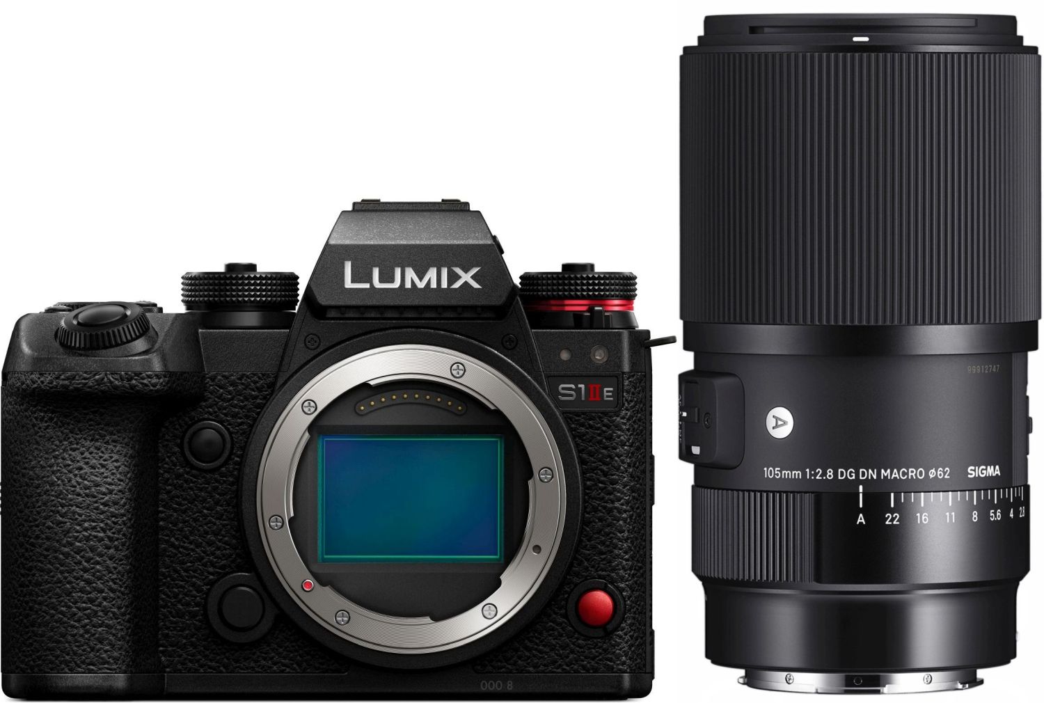 Panasonic Lumix DC-S1 IIE con Sigma 105mm f/2.8 DG DN Macro Art L-Mount