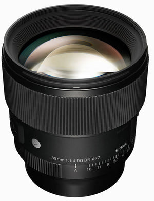 Panasonic DC-S1 IIE + Sigma 85mm f/1.4 DG DN (A) L-Mount