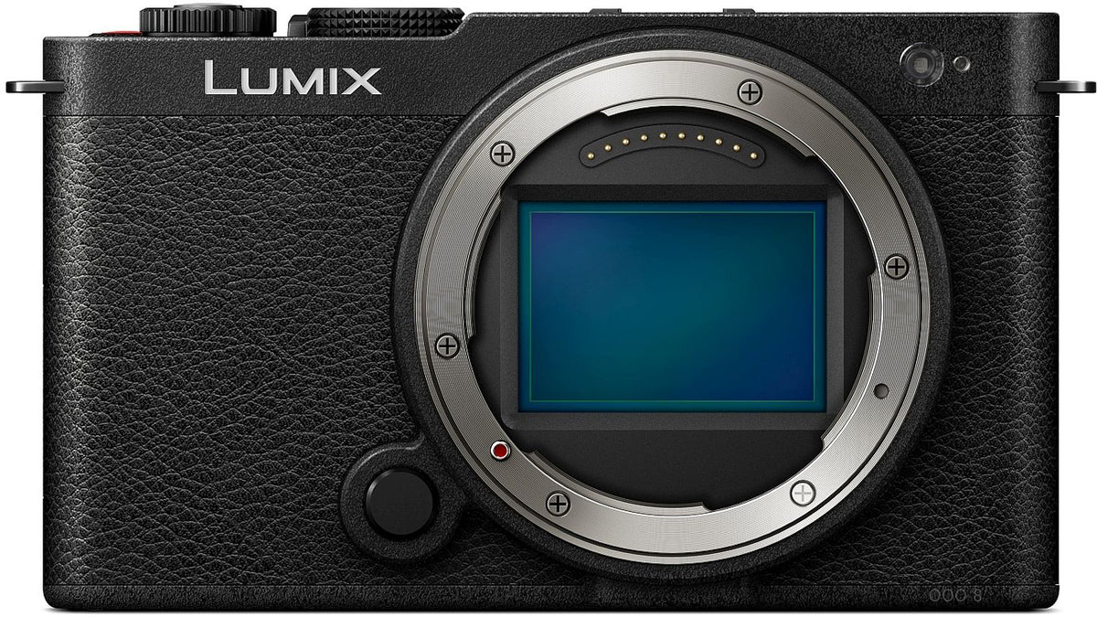 Panasonic DC-S9 black + Sigma 28-105mm f2.8 DG DN