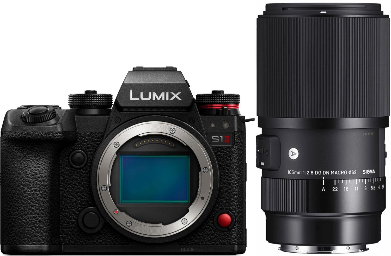 Panasonic Lumix DC-S1 II Sigma 105mm f/2.8 DG DN Macro Art L-Mount