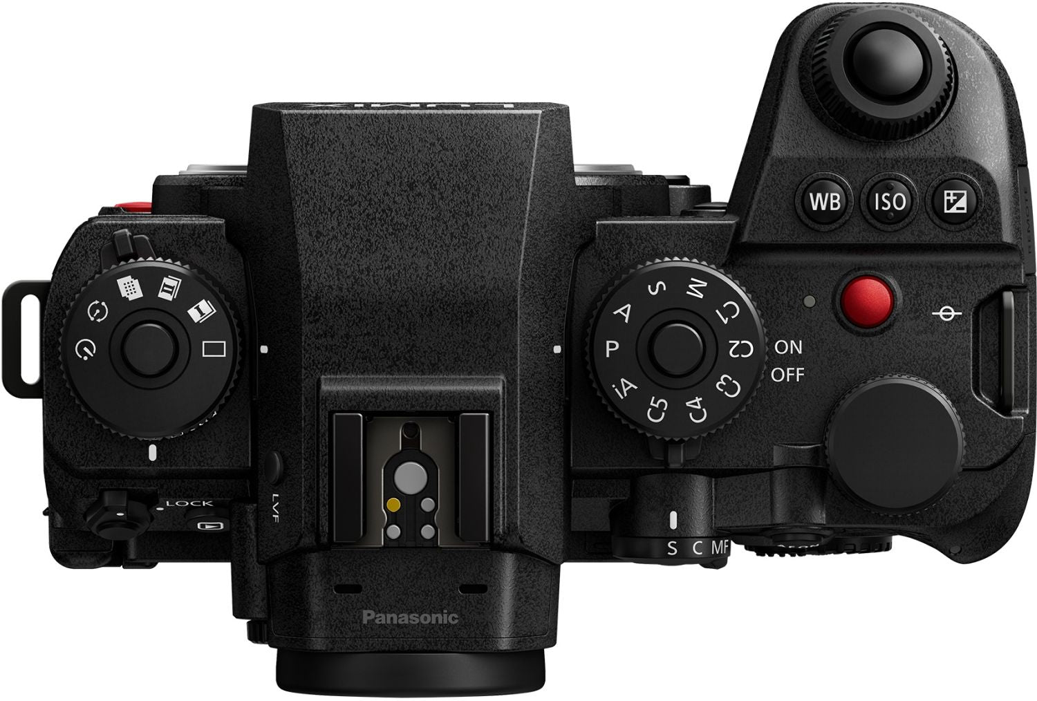 Panasonic Lumix DC-S1RII + S 100mm f/2.8 Macro
