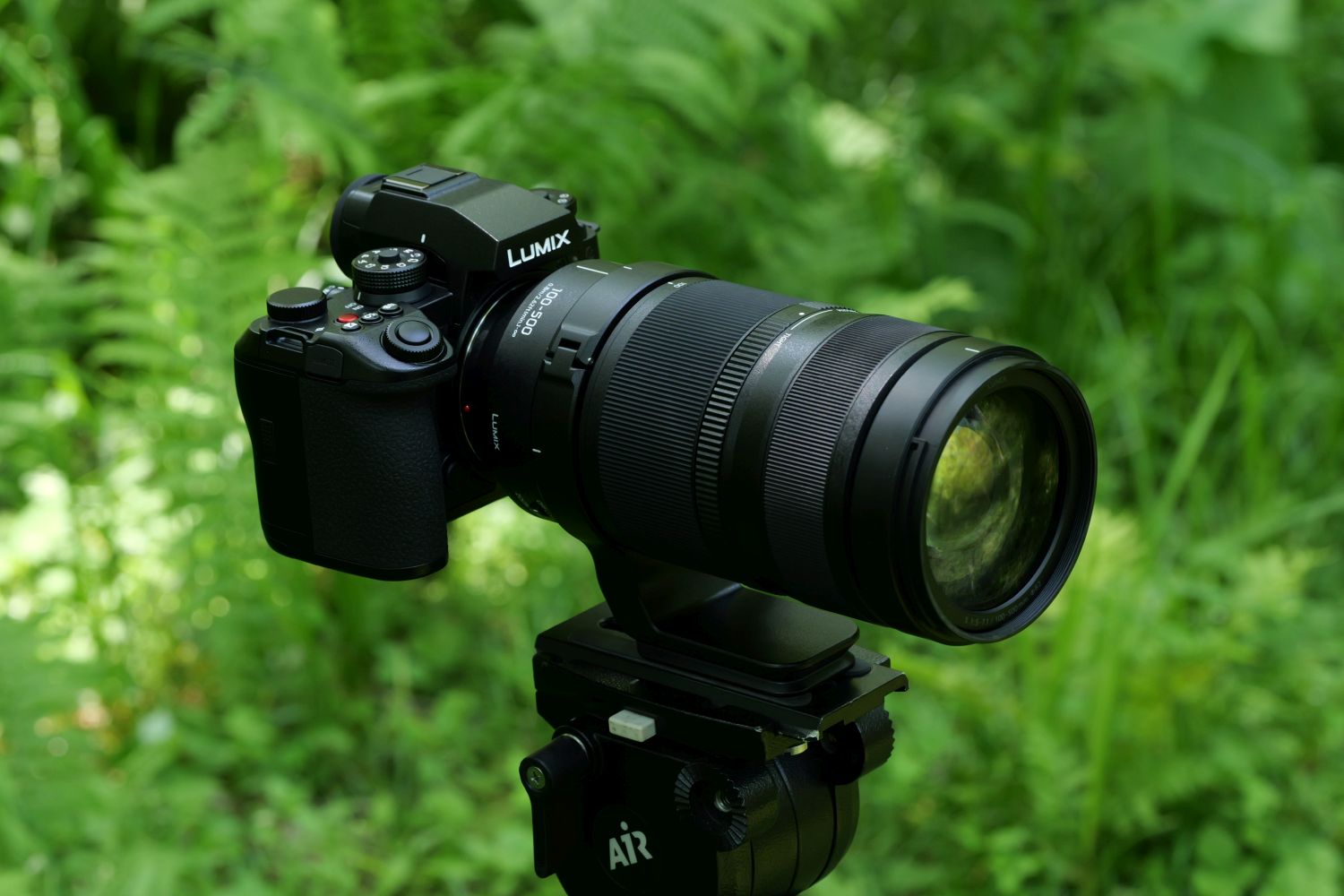 Panasonic Lumix S 100-500mm f/5.0-7.1 OIS
