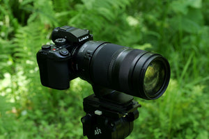 Panasonic Lumix S 100-500mm f/5.0-7.1 OIS
