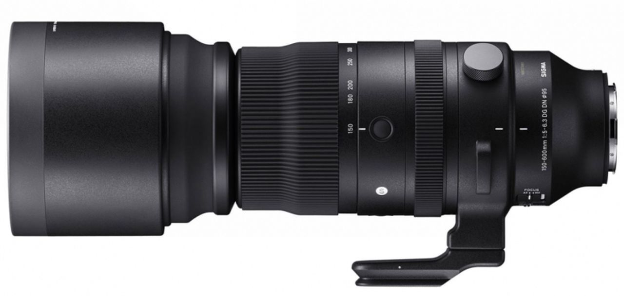 Panasonic Lumix S Pro 24-70mm f/2.8 + Sigma 150-600mm f/5.0-6.3 L-mount
