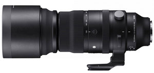 Panasonic Lumix S Pro 24-70mm f/2.8 + Sigma 150-600mm f/5.0-6.3 L-mount