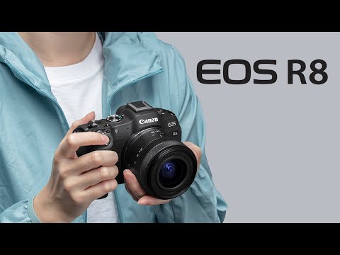 Canon EOS R8 Body