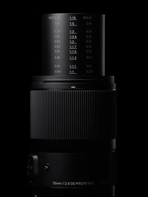 Sigma 70mm f/2.8 DG Macro Art - Obiettivo Mirrorless Sony E-Mount