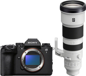 Sony Alpha 1 II + SEL 400-800mm f/6.3-8 G OSS