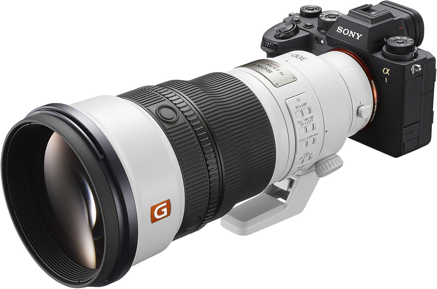Sony Alpha 1 II con Sony FE 300mm f/2.8 GM