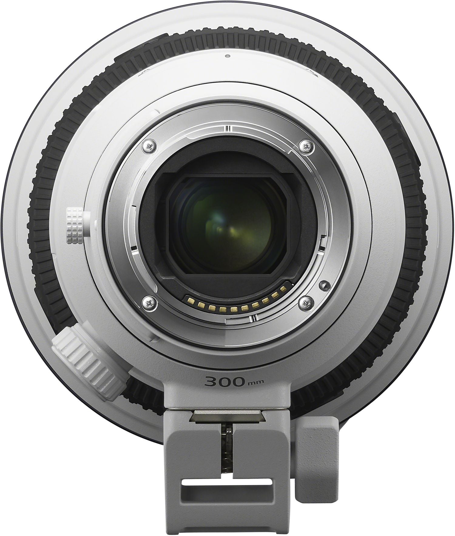 Sony Alpha 1 II con Sony FE 300mm f/2.8 GM