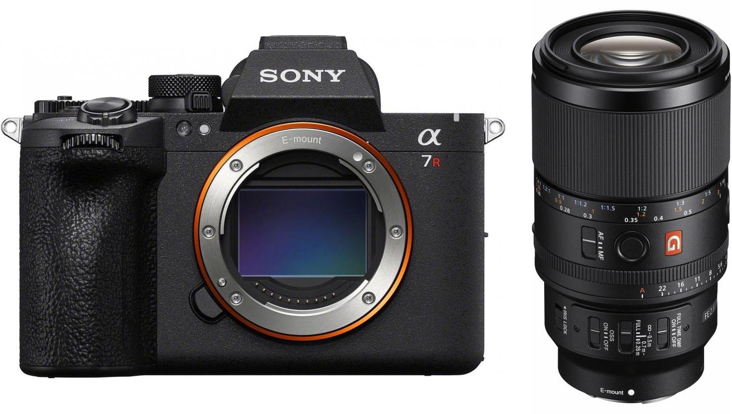 Sony Alpha 7R VI + SEL FE 100mm f2.8 Macro GM OSS