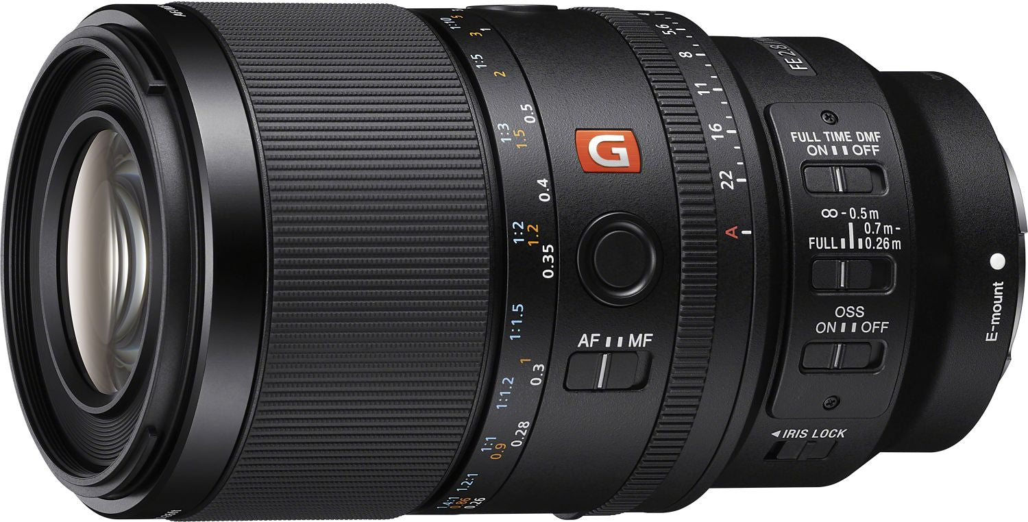 Sony Alpha 7R VI + SEL FE 100mm f2.8 Macro GM OSS