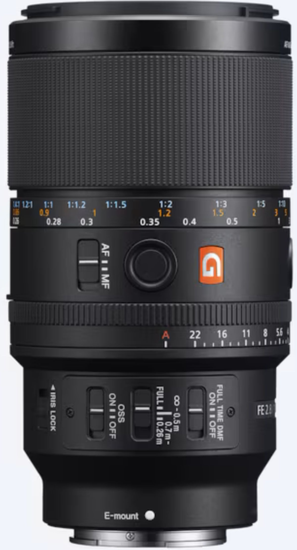 Sony Alpha 7R VI + SEL FE 100mm f2.8 Macro GM OSS