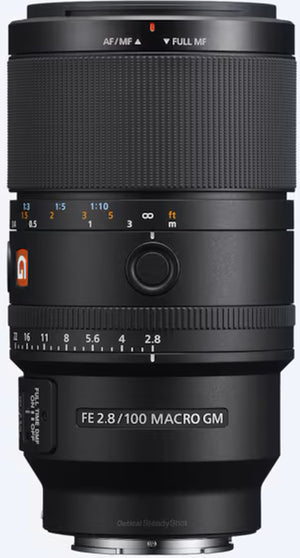 Sony Alpha 7R VI + SEL FE 100mm f2.8 Macro GM OSS
