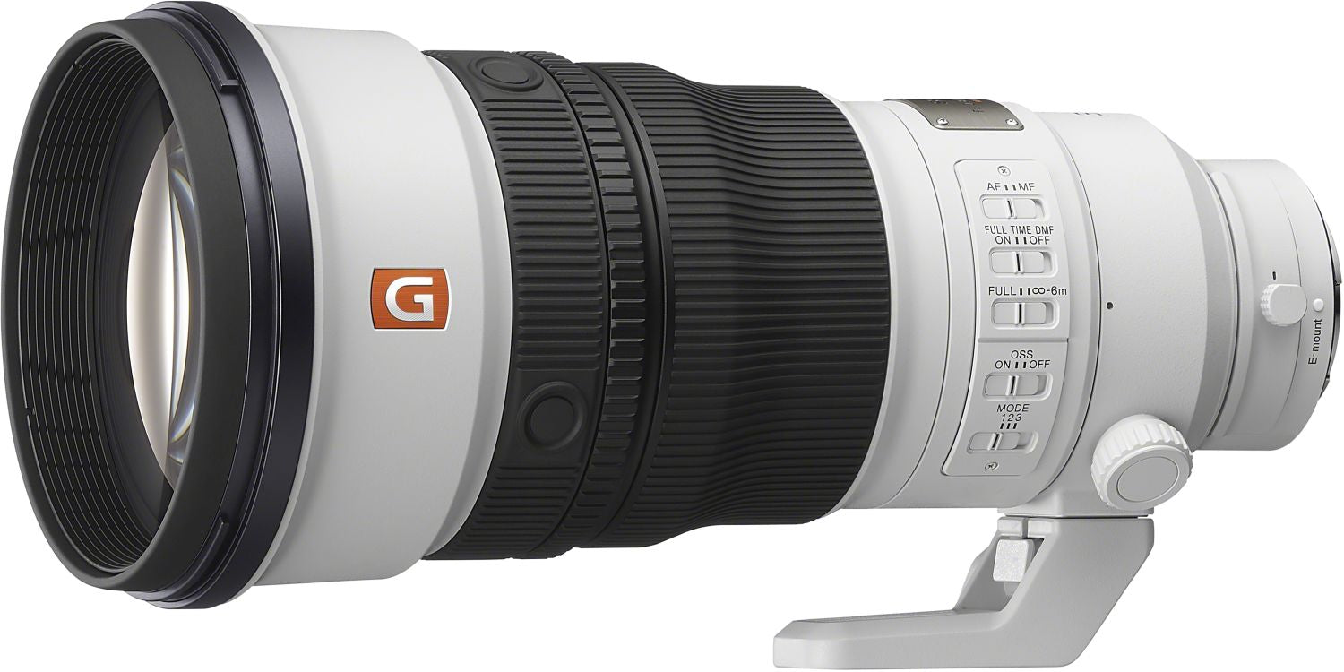 Sony Alpha 7R VI + SEL FE 300mm f2.8 GM OSS