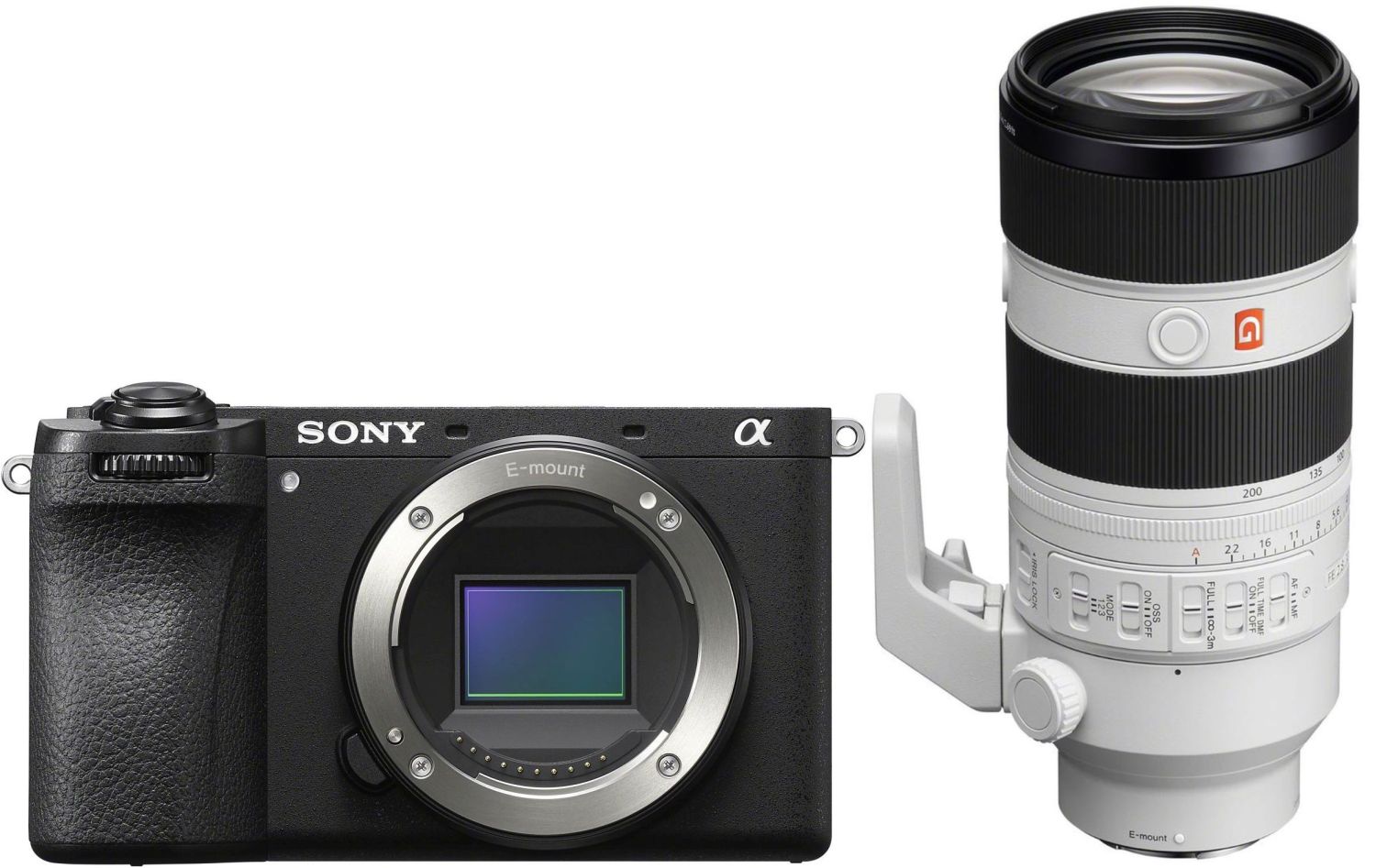 Sony Alpha 6700 con Sony Sony FE 70-200mm f/2.8 GM II