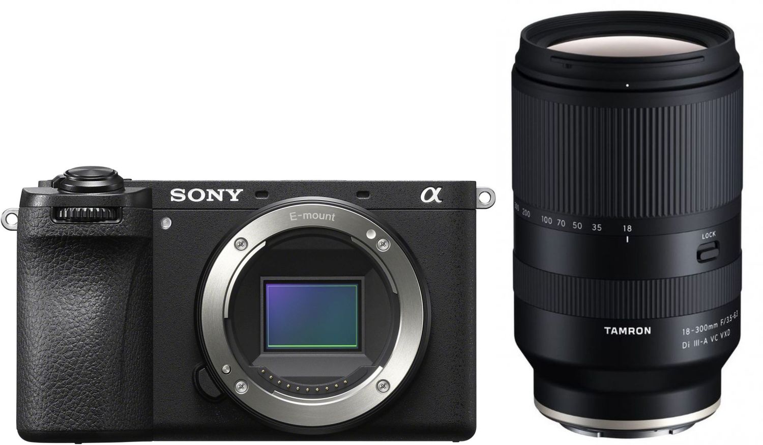 Sony Alpha 6700 con Tamron 18-300mm f/3.5-6.3 Di III A VC VXD
