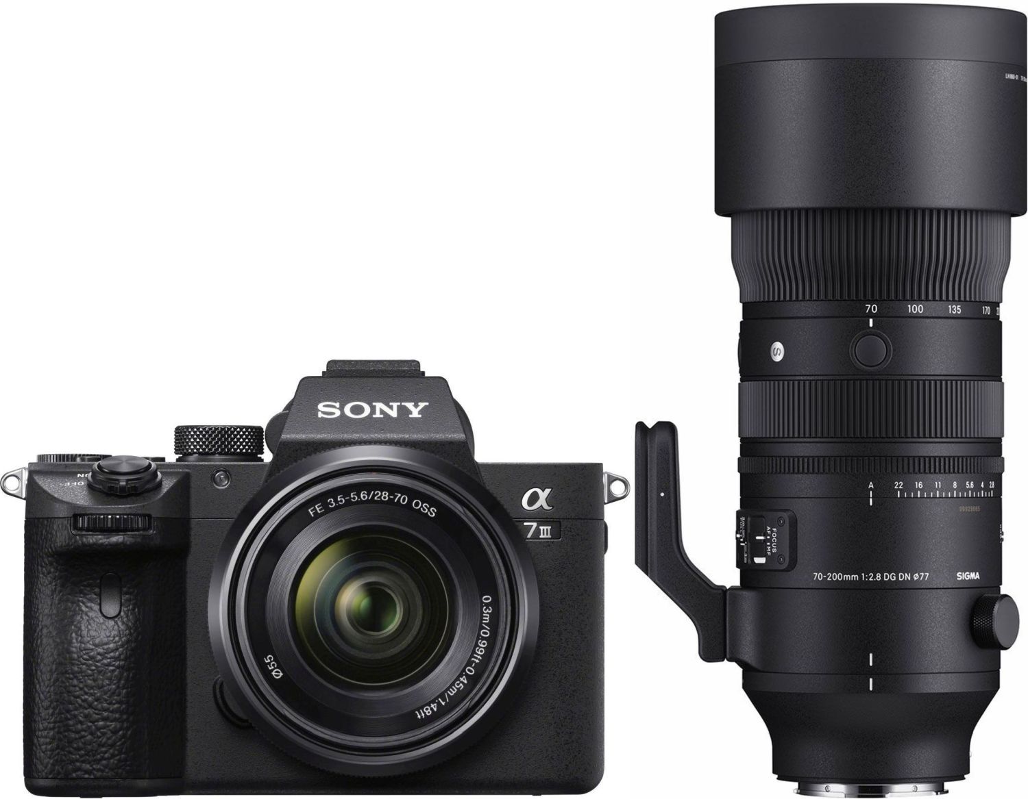 Sony Alpha ILCE-7 III 28 70mm con Sigma 70 200mm f/2.8 DG DN OS Sports