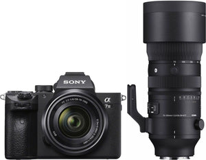 Sony Alpha ILCE-7 III + 28-70mm + Sigma 70-200mm f/2.8 DG DN OS (S)