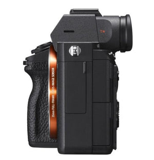 Sony Alpha ILCE-7 III (ILCE7M3) + 28-70mm + SEL FE 70-200mm f2.8 GM